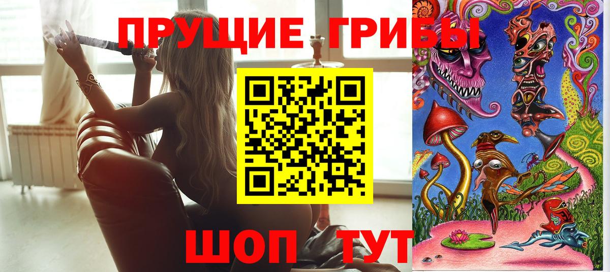 Новороссийск  Псилоцибиновые грибы мицелий  Вход с VPN 